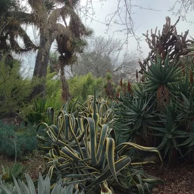 The Huntington Library, San Marino, CA